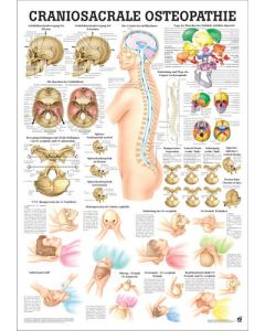 5010167.jpg
