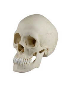 5011073-0.jpg