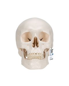 5011096-0.jpg