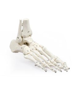 5011108-0.jpg