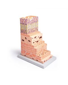 5012281-0.jpg