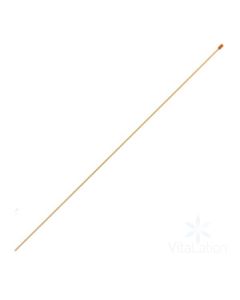 5150351.jpg
