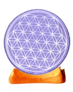9004962.jpg
