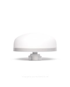 9007454-0.jpg