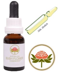 bushflasche-tester.jpg