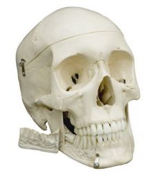 5011060a.jpg